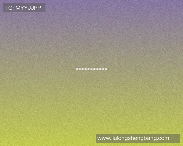日本篮球界的传奇后卫明星们盘点与成就分析