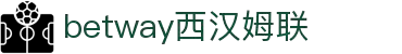 betway·必威(西汉姆联)官方网站-Official Platform